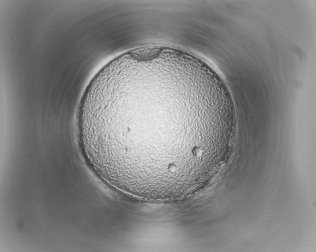 X0000116041056200912041808