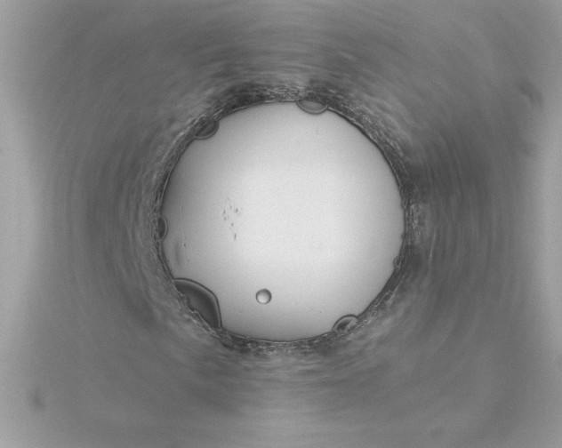 X0000116041057200912041807