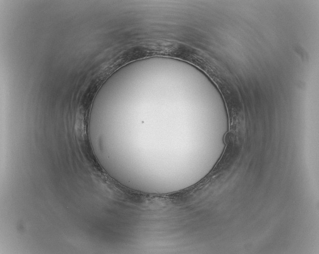 X0000116041058200912041807