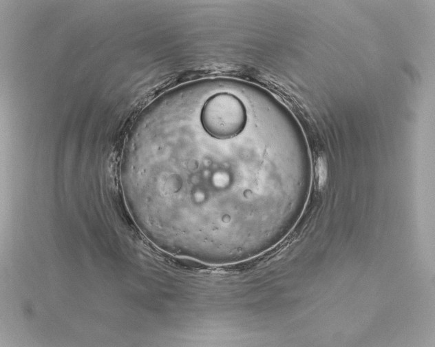 X0000116041059200912041807