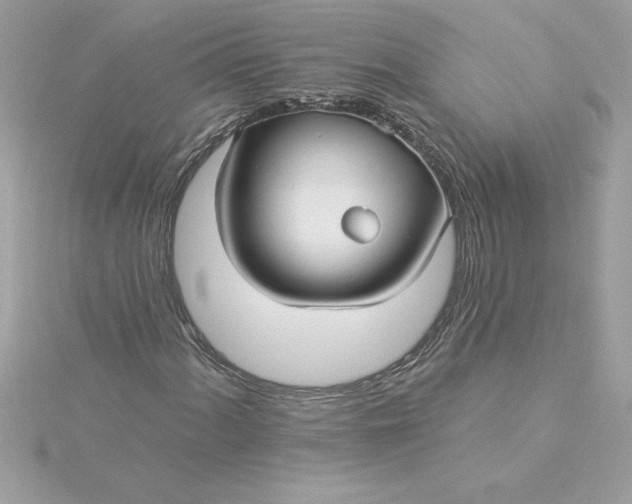 X0000116041060200912041807