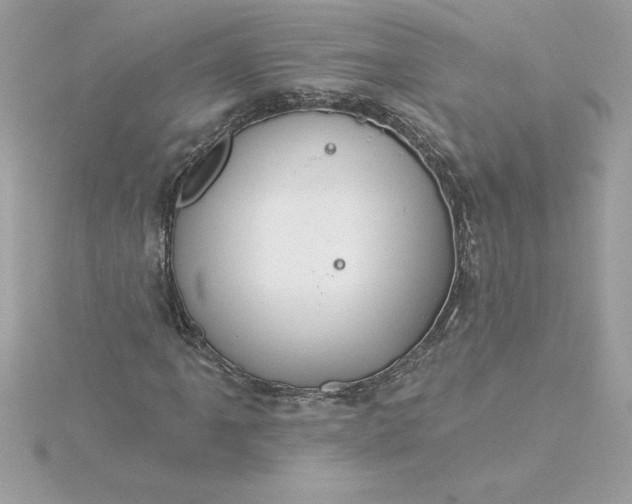 X0000116041061200912041807