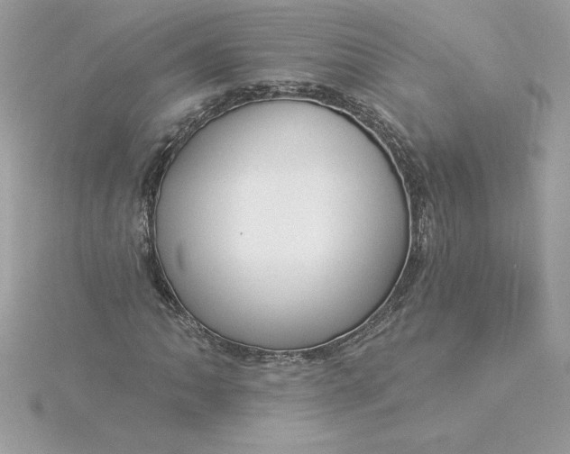 X0000116041062200912041807