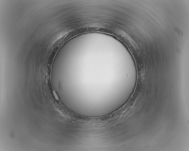 X0000116041064200912041807