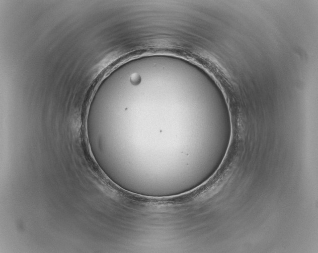 X0000116041065200912041807