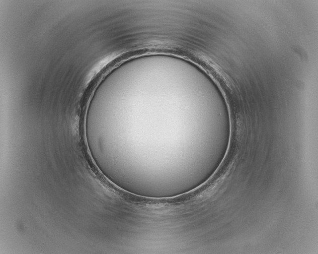 X0000116041066200912041807