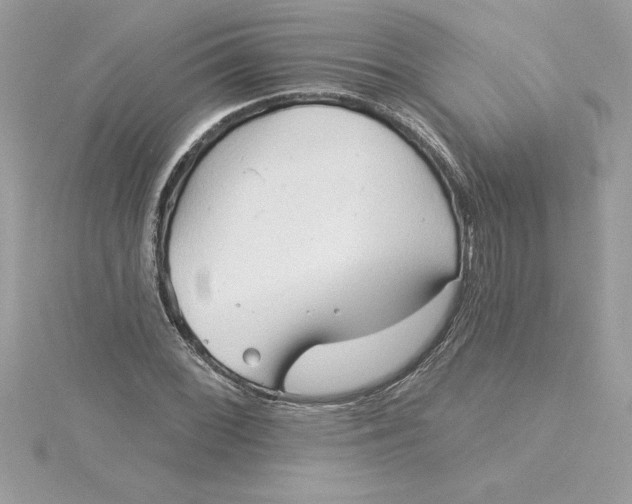 X0000116041068200912041807