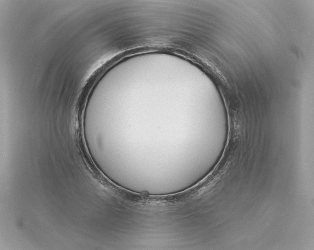 X0000116041070200912041807