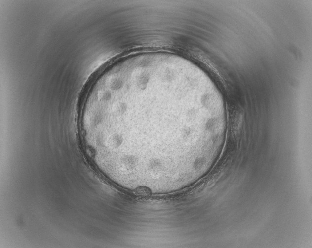 X0000116041071200912041807