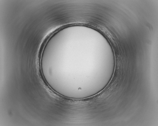 X0000116041072200912041807