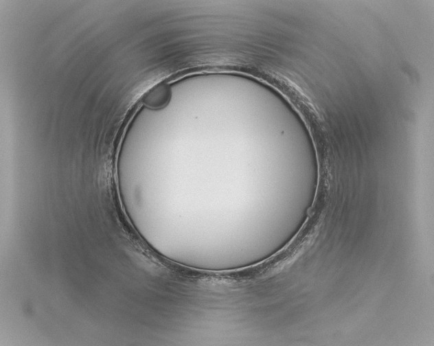 X0000116041073200912041807