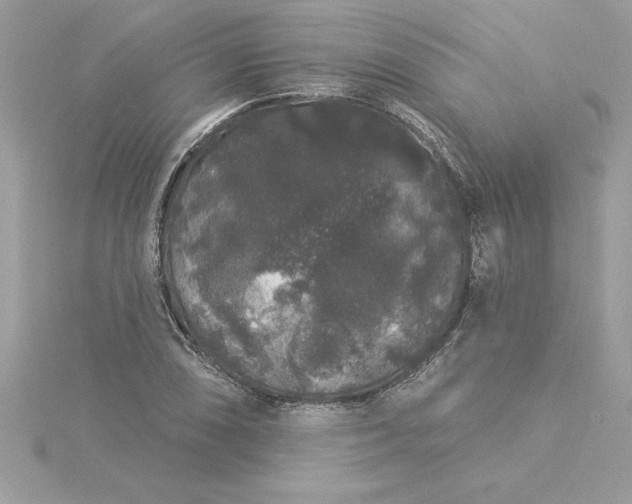 X0000116041074200912041807