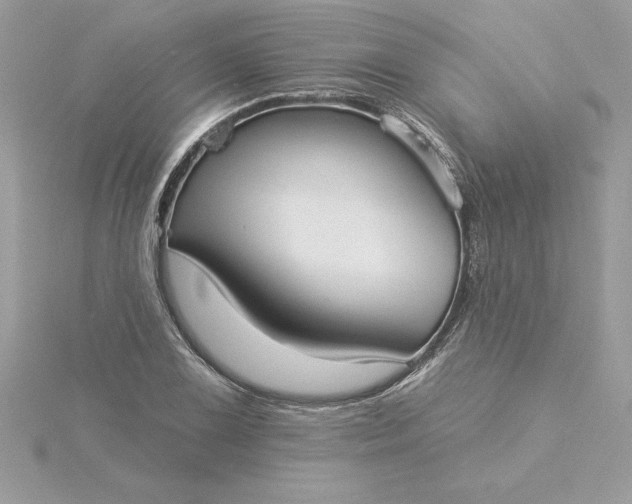 X0000116041075200912041807