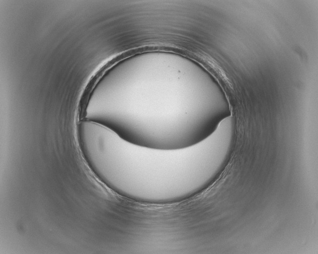 X0000116041076200912041807