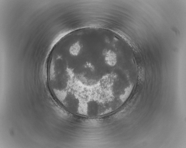 X0000116041078200912041807