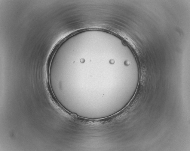 X0000116041080200912041807