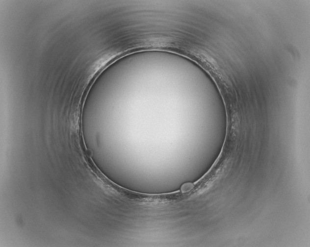 X0000116041081200912041807