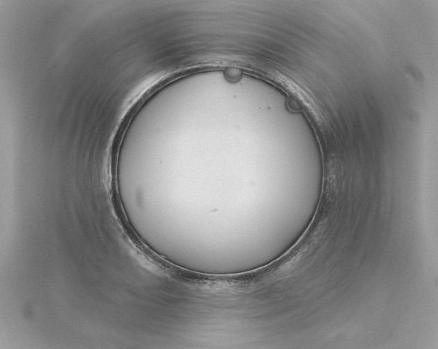 X0000116041082200912041807