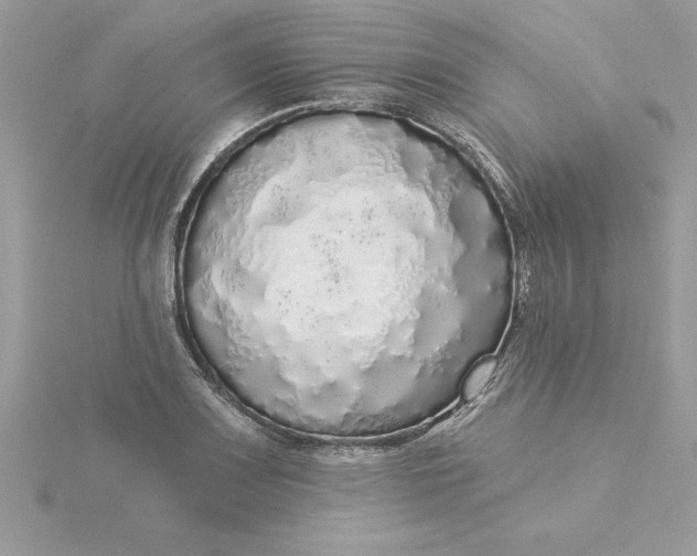 X0000116041083200912041807