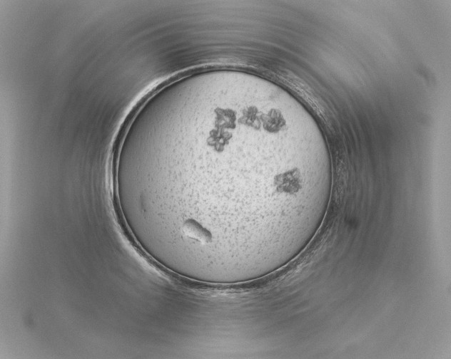 X0000116041084200912041807