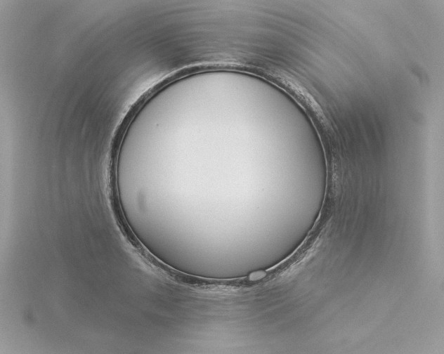 X0000116041085200912041807