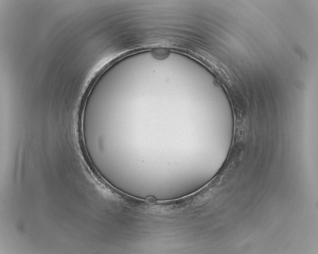 X0000116041086200912041807