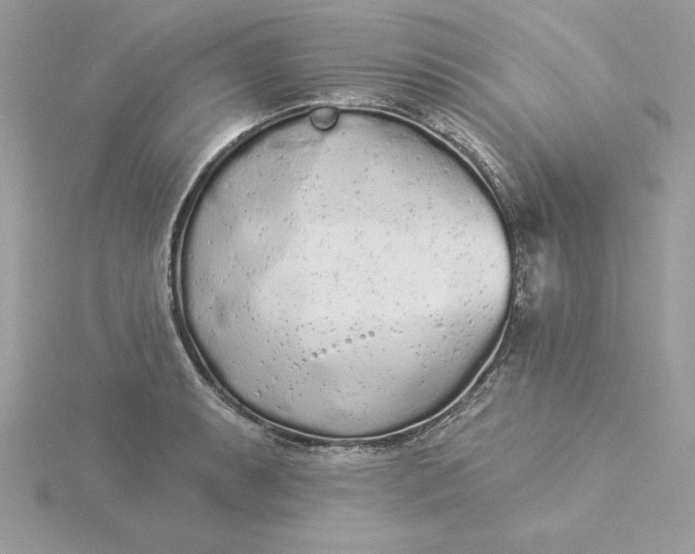 X0000116041087200912041807