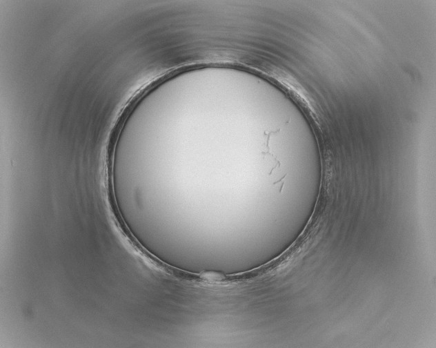 X0000116041088200912041807