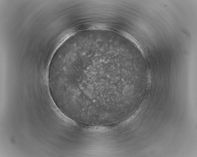 X0000116041090200912041807