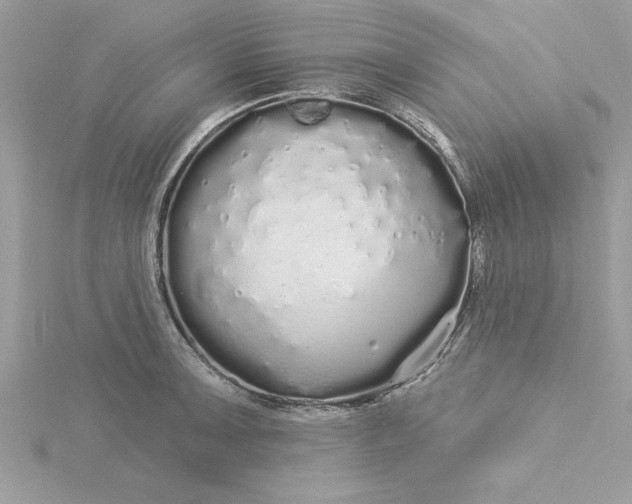 X0000116041091200912041807