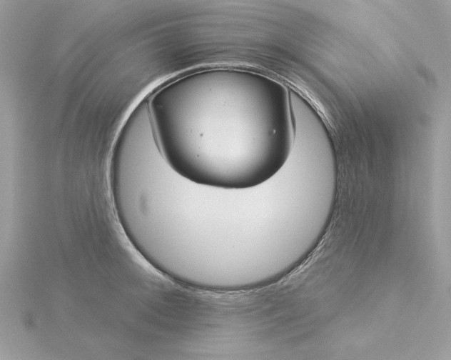 X0000116041092200912041807