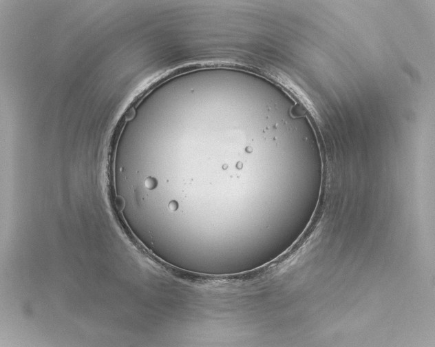 X0000116041093200912041807