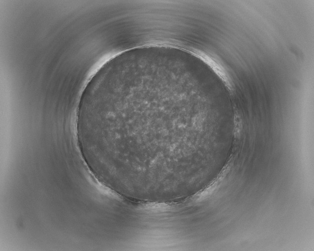 X0000116041094200912041806