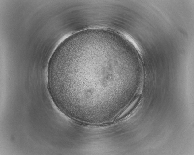 X0000116041095200912041806