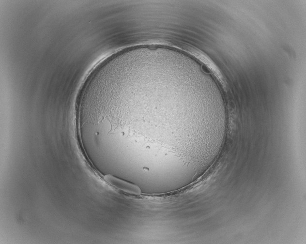 X0000116041096200912041806