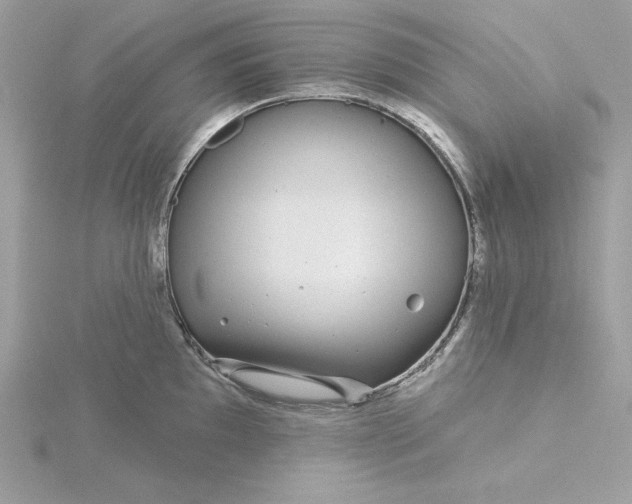 X0000116041097200912041806