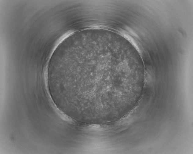 X0000116041098200912041806