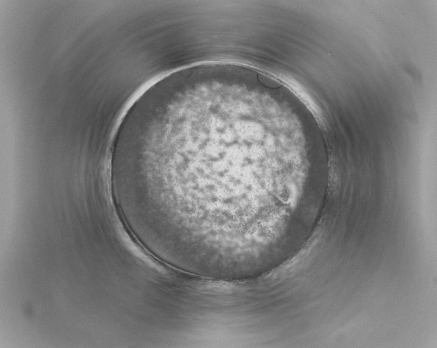 X0000116041100200912041806