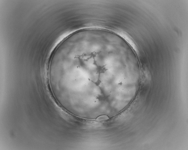 X0000116041101200912041806