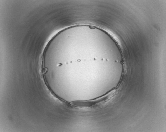 X0000116041102200912041806