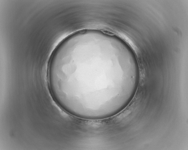 X0000116041103200912041806