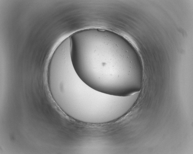 X0000116041104200912041806