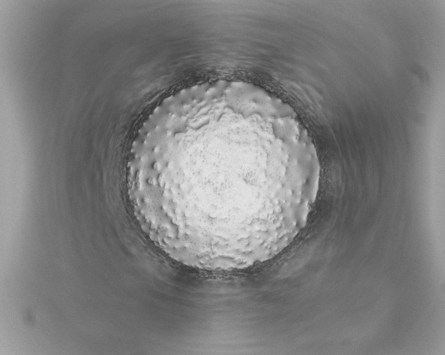 X0000116041105200912041806