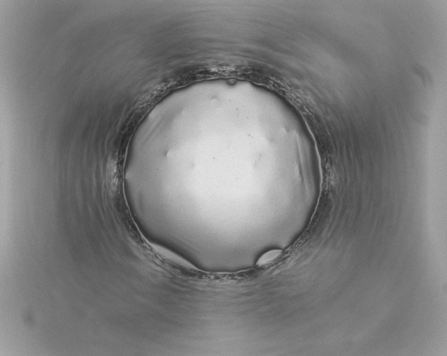 X0000116041106200912041806