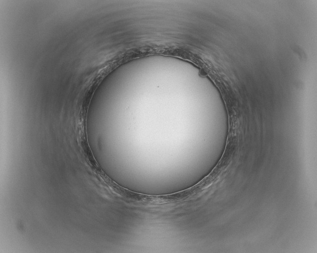 X0000116041109200912041806