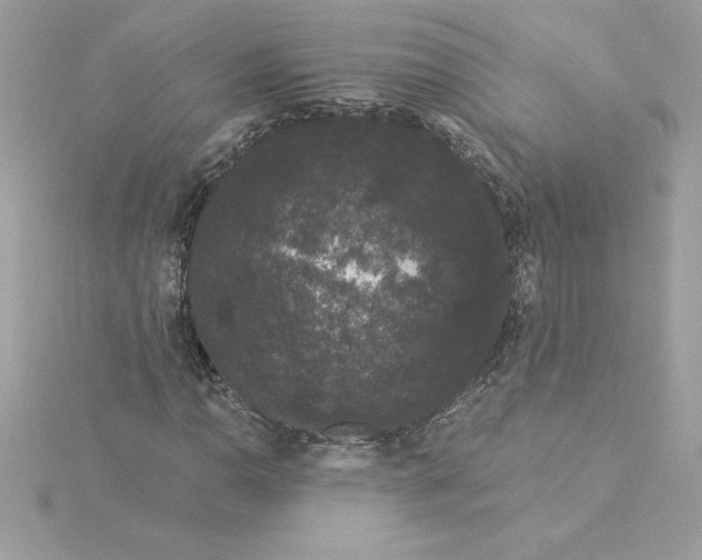 X0000116041110200912041806