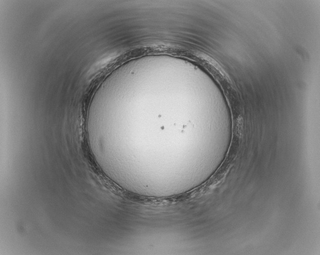 X0000116041111200912041806