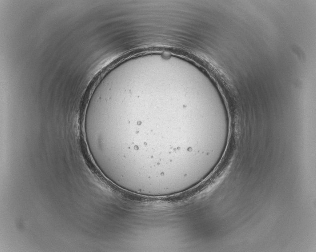 X0000116041113200912041806