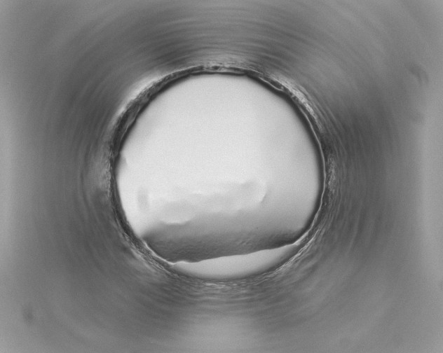 X0000116041115200912041806