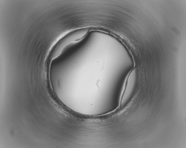 X0000116041118200912041806